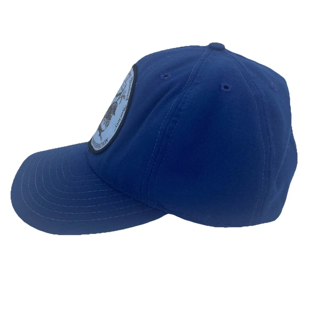 Vintage Trucker Hat Blue Snapback American Bluebird Society New Era DuPont Visor
